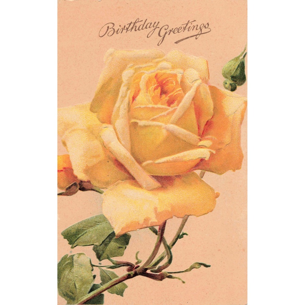 Birthday Greetings Postcard Yellow Rose Flower Floral Embossed Antique c1910